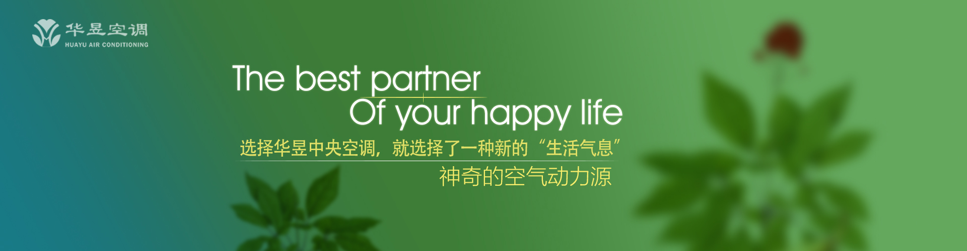 蒲鞭之罚网